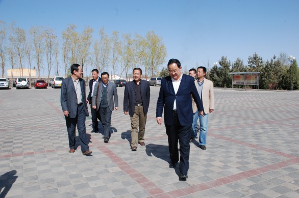 新宝GG—创立事业平台