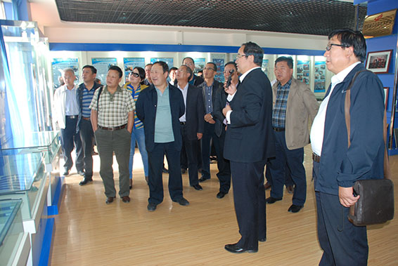 新宝GG—创立事业平台