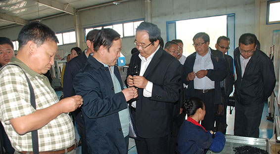 新宝GG—创立事业平台