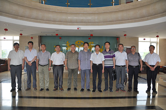 新宝GG—创立事业平台