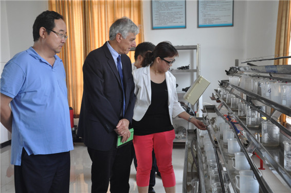 新宝GG—创立事业平台