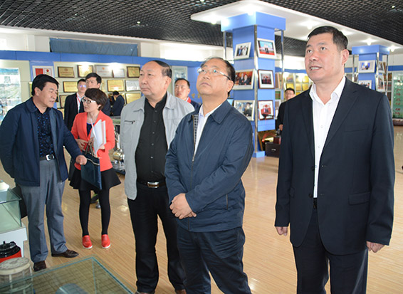 新宝GG—创立事业平台