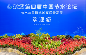 202412051733367950929366.png image.png