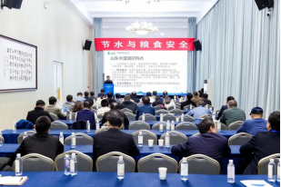 202412051733369033631345.png image.png