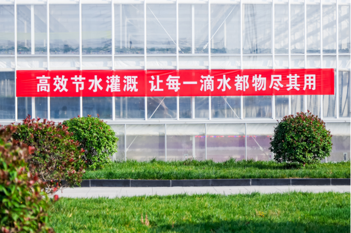 202412051733369252595877.png image.png