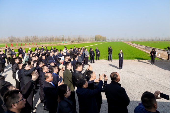 202412051733369295959909.png image.png