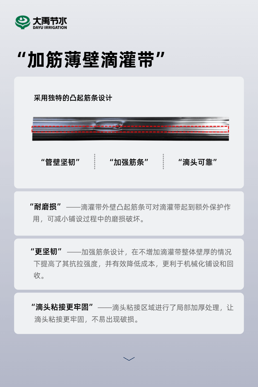 202502141739500920372647.gif 0211-Ìæ»»2.gif