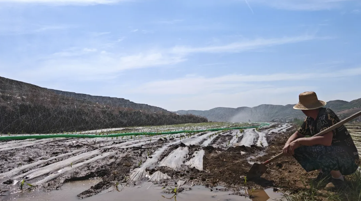 202505281748417694844768.png image.png