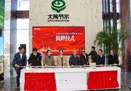 ���� ����������