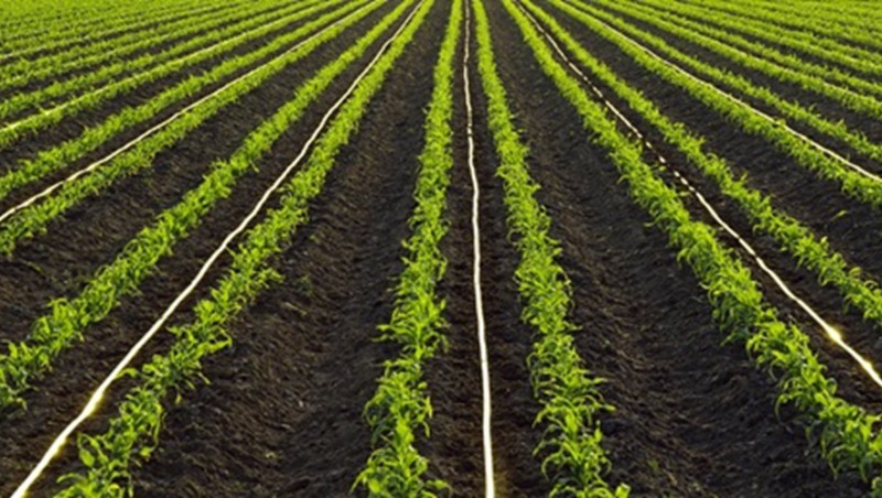 ���ɹſ���ǰ��2023�ꡰEPC+O���߱�׼ũ�ｨ����Ŀ