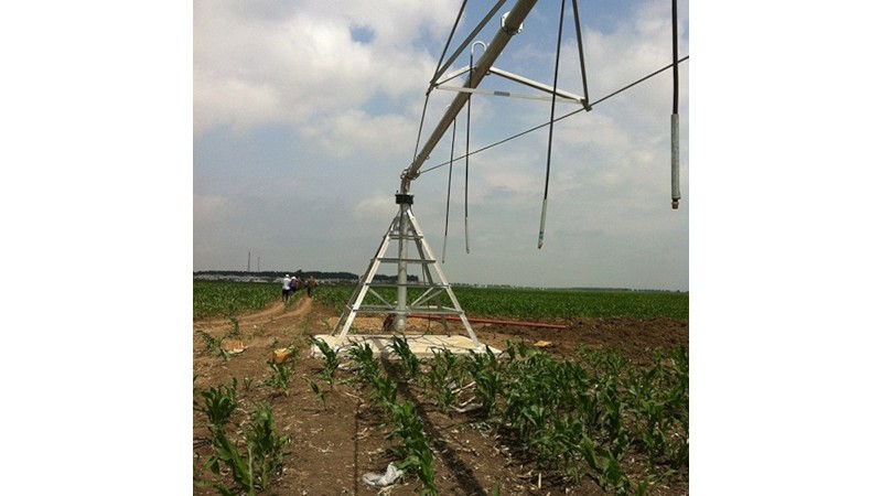 ʱ��ʽ����