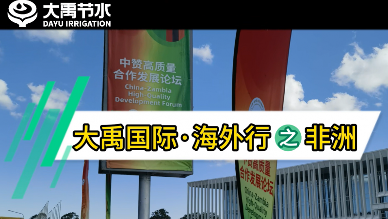 �±�gg���ʡ�������֮����