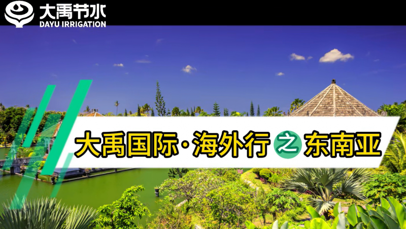 �±�gg����������֮������