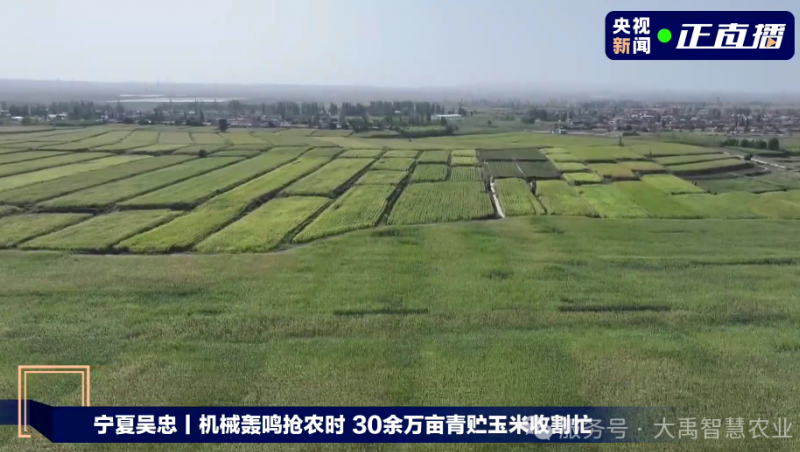 ��ý��۽����±�gg��ˮ���ǻ�ũҵ���գ���������Ϊ 30 ��Ķ�������׷��� ����������